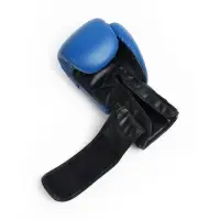 Боксерские перчатки FIGHT EMPIRE, B8102, синие, размер 16 oz