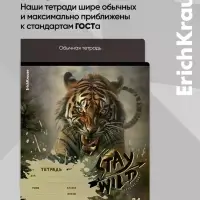 Тетрадь 24 листа в клетку ErichKrause Stay Wild, 60 г/м&sup2;, обложка мелованный картон, МИКС