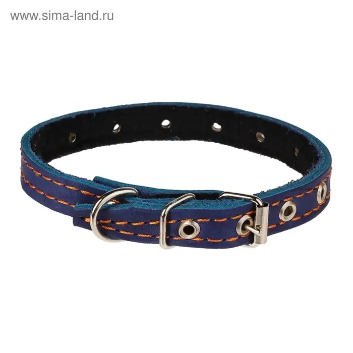 Ошейник кожаный на синтепоне, безразмерный, 37&times;1.5 см, ОШ 21-31 см, синий