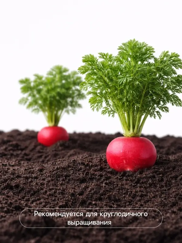 Семена Редис &laquo;Черриэт&raquo; F1, 1 г, &laquo;Престиж семена&raquo;
