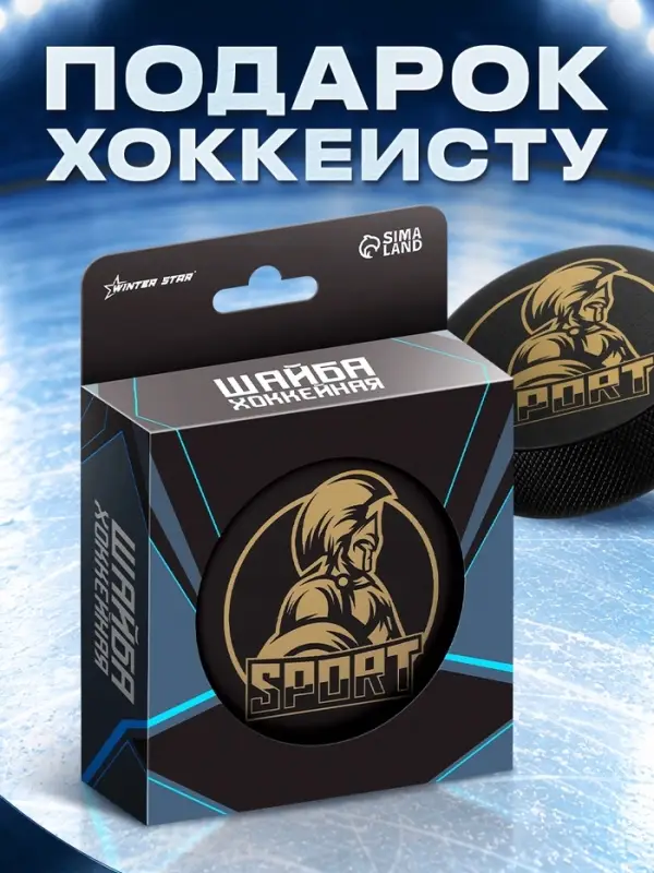 Шайба хоккейная Winter Star, взрослая, d=7.6 см