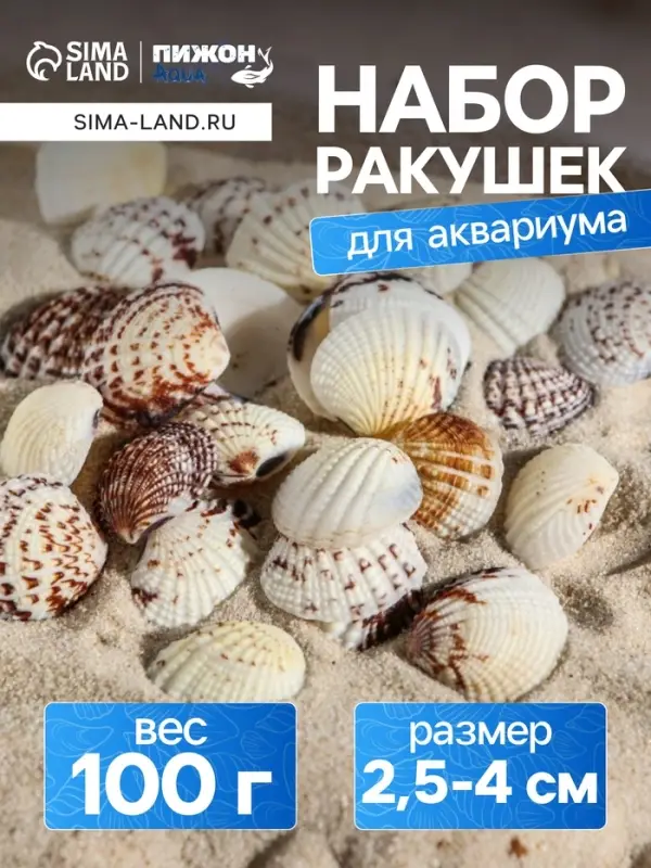 Набор ракушек, 2.5 - 4 см, 100 г