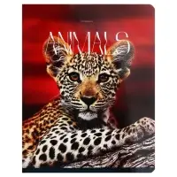 Тетрадь 96 листов в клетку на скрепке "Животные", обложка мелованный картон, глянцевая ламинация, МИКС Тетрадь 96 листов в клетку на скрепке "Животные", обложка мелованный картон, глянцевая ламинация, МИКС