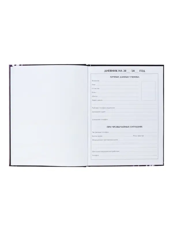 Дневник школьный для 1-11 классов, &laquo;Бабочки. Неон ?&raquo;, твёрдая обложка 7БЦ, глянцевая ламинация, 40 листов