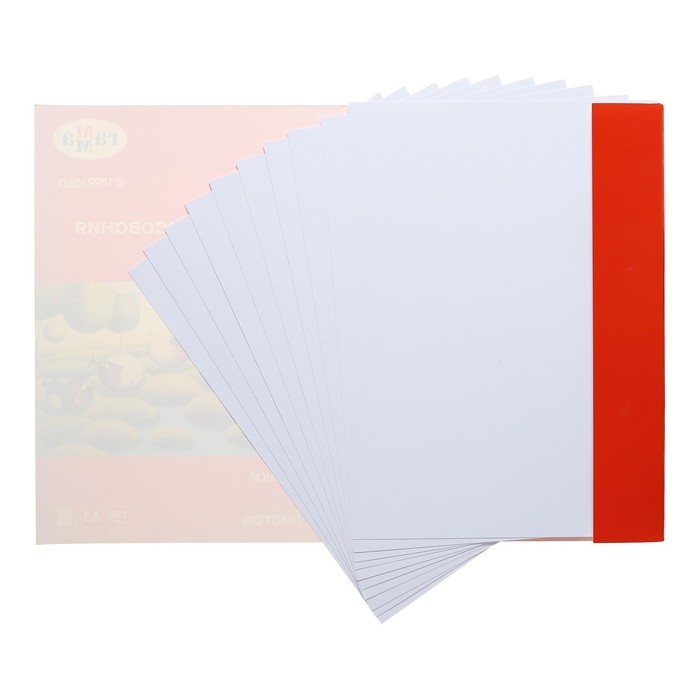 Бумага для рисования А3 20 листов, 190 г/м2,  Бумага для рисования А3 20 листов, 190 г/м2, "Мультики" Гамма, в папке, 180523_А318020