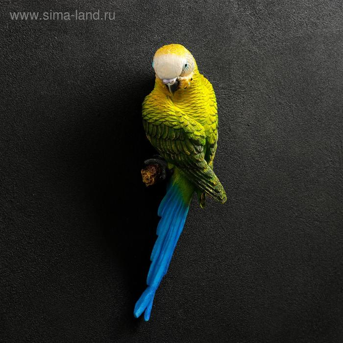 Подвесной декор  Подвесной декор "Попугай волнистый на ветке" 7х12х29 см