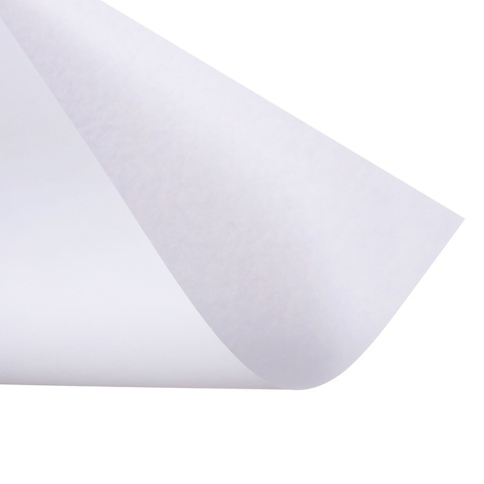 Набор 5л ватман чертежный  А0 (840х1189)  200г/м2 ВА0 Набор 5л ватман чертежный  А0 (840х1189)  200г/м2 ВА0