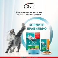 Сухой корм Purinа One для домашних кошек, индейка/злаки, 3 кг