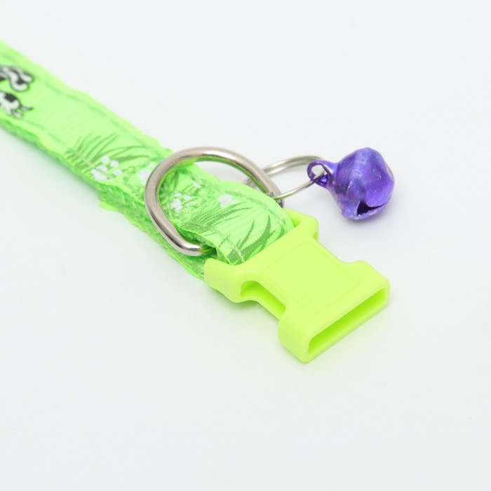 Ошейник Ошейник "Лето" с бубенчиком, 30 х 1 см, капрон, салатовый