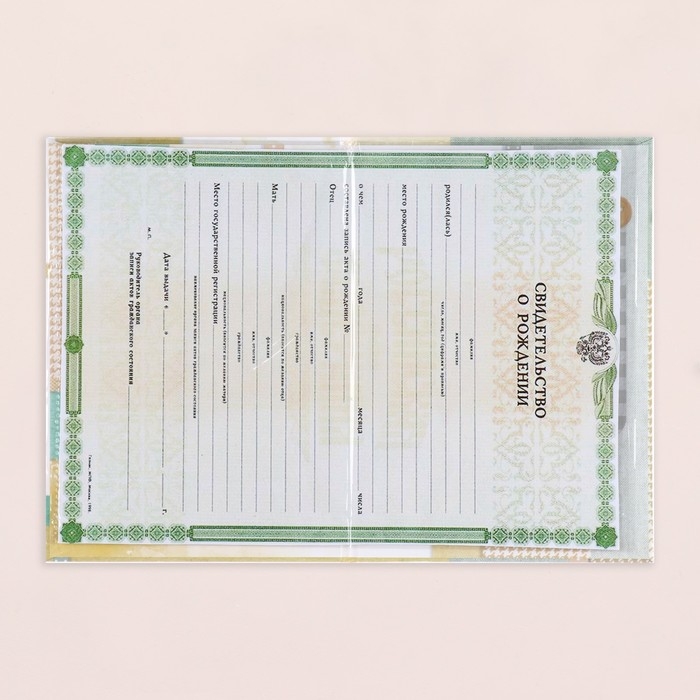 Свидетельство о рождении Свидетельство о рождении "Мишка" тиснение, А5