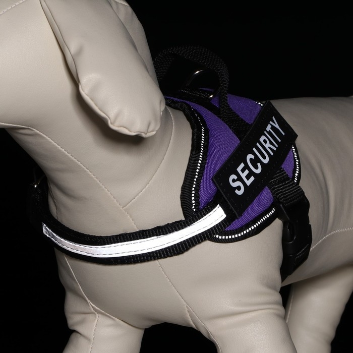 Шлейка К9 мягкая светоотражающая, размер ХS, ОГ 38-50 см, вес 3-6 кг, фиолетовая Шлейка К9 мягкая светоотражающая, размер ХS, ОГ 38-50 см, вес 3-6 кг, фиолетовая
