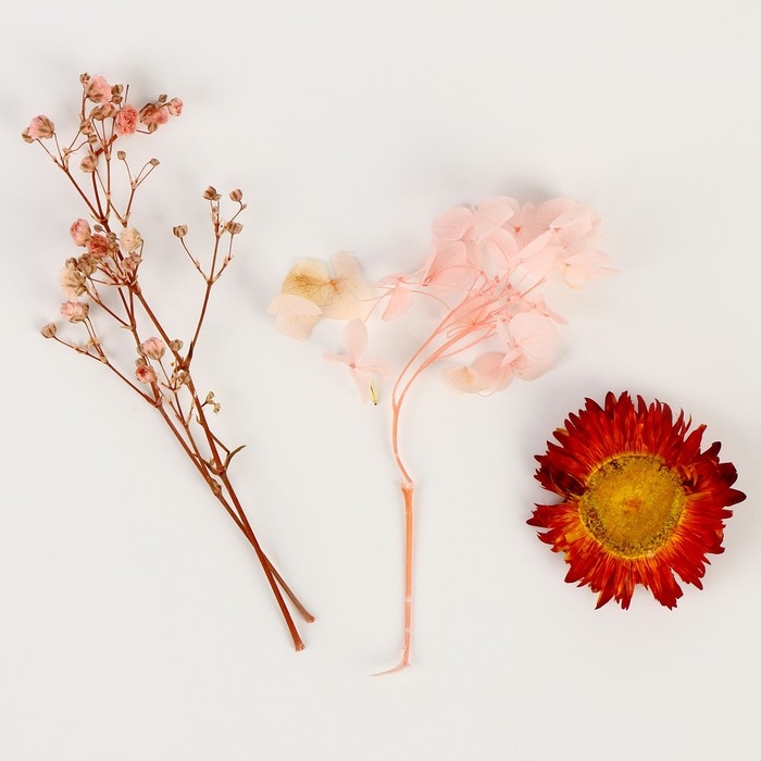 Набор сухоцветов «Розовое облако» Набор сухоцветов «Розовое облако»