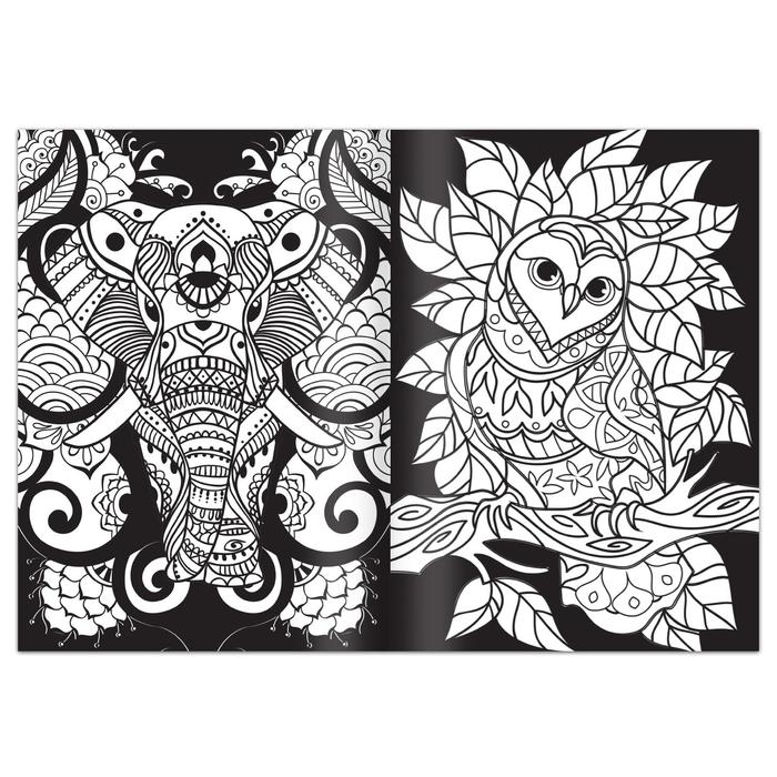 Раскраска «Антистресс», 68 стр., формат А4 Раскраска «Антистресс», 68 стр., формат А4