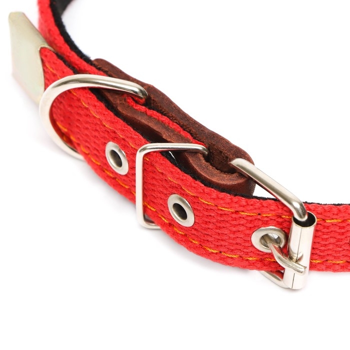 Ошейник брезентовый с подкладом, 57 х 2,5 см, ОШ 35-45 см, красный Ошейник брезентовый с подкладом, 57 х 2,5 см, ОШ 35-45 см, красный