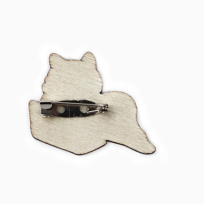 Значки в шоубоксе «Самые невероятные значки», 20 шт Значки в шоубоксе «Самые невероятные значки», 20 шт