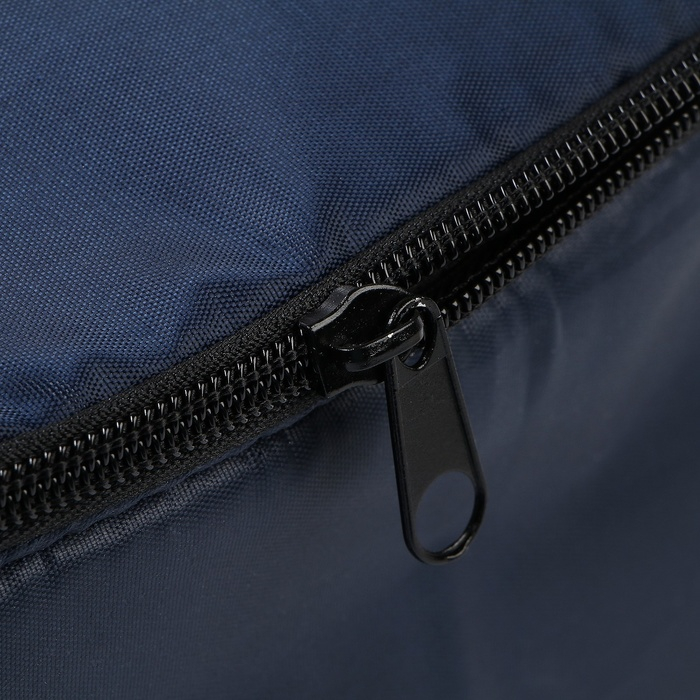 Термосумка Cartage Т-16, синяя, 10 л, 26х19х19 см Термосумка Cartage Т-16, синяя, 10 л, 26х19х19 см