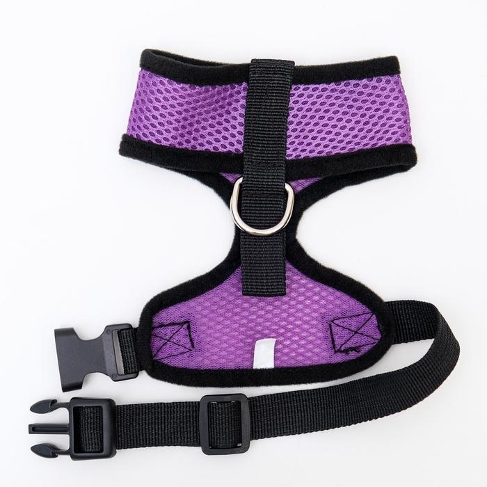 Шлейка мягкая из неопрена, размер S, ОШ 24 см, ОГ 24-34 см, фиолетовая Шлейка мягкая из неопрена, размер S, ОШ 24 см, ОГ 24-34 см, фиолетовая