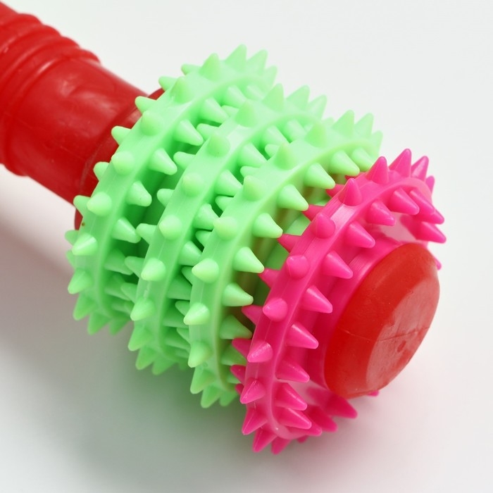 Игрушка жевательная 15,5 х 5,5 см, красная/зелёная/розовая Игрушка жевательная 15,5 х 5,5 см, красная/зелёная/розовая