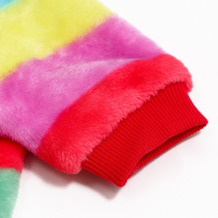 Комбинезон "Радуга" с капюшоном, размер L (ДС 35 см, ОГ 45 см, ОШ 35 см)