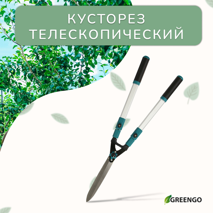 Кусторез, 31−44,5 Кусторез, 31−44,5" (79−113 см), телескопический, с металлическими ручками , Greengo
