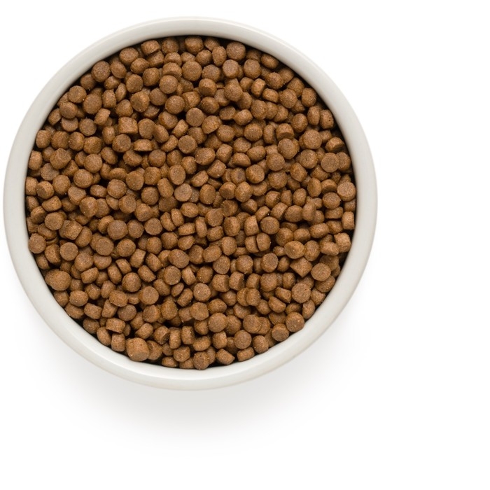 Сухой корм Grandorf для щенков, ягненок/индейка, низкозерновой, 10 кг Сухой корм Grandorf для щенков, ягненок/индейка, низкозерновой, 10 кг