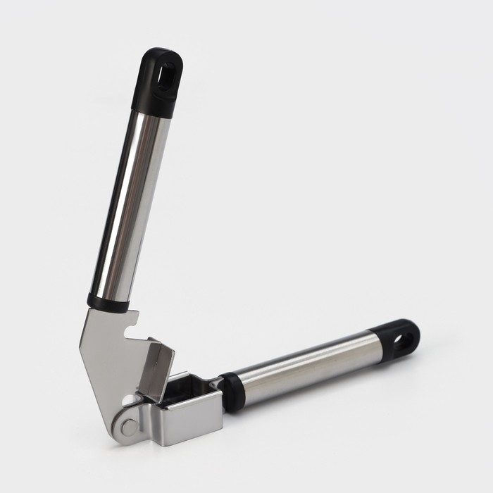 Пресс для чеснока Доляна «Помощник», 18 см, цвет серебристый Пресс для чеснока Доляна «Помощник», 18 см, цвет серебристый