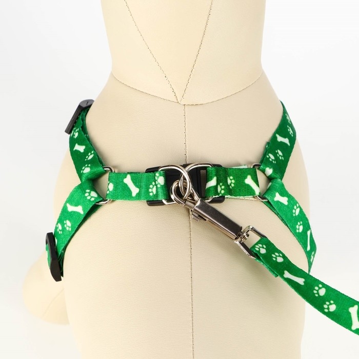 Комплект капроновый Комплект капроновый "Косточки и лапки", 1,5 см, шлейка 30-44 см, поводок 120 см, зелёный