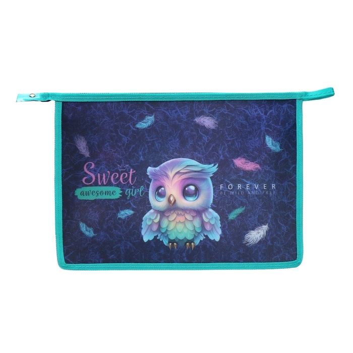 Папка для тетрадей А4, 330 х 230 х 100 мм (ЭКСТРА-ВМЕСТИМОСТЬ), молния сверху, пластик, de VENTE Happy Owl Папка для тетрадей А4, 330 х 230 х 100 мм (ЭКСТРА-ВМЕСТИМОСТЬ), молния сверху, пластик, de VENTE Happy Owl