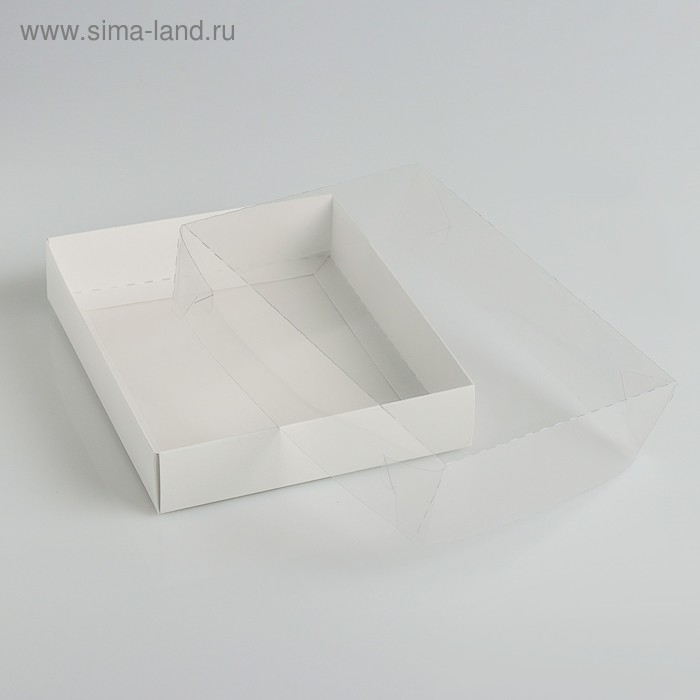 Коробочка для печенья с прозрачной крышкой 16 х 13 х 3 см Коробочка для печенья с прозрачной крышкой 16 х 13 х 3 см