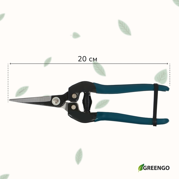 Ножницы садовые, 8 Ножницы садовые, 8" (20 см), с пластиковыми ручками, Greengo