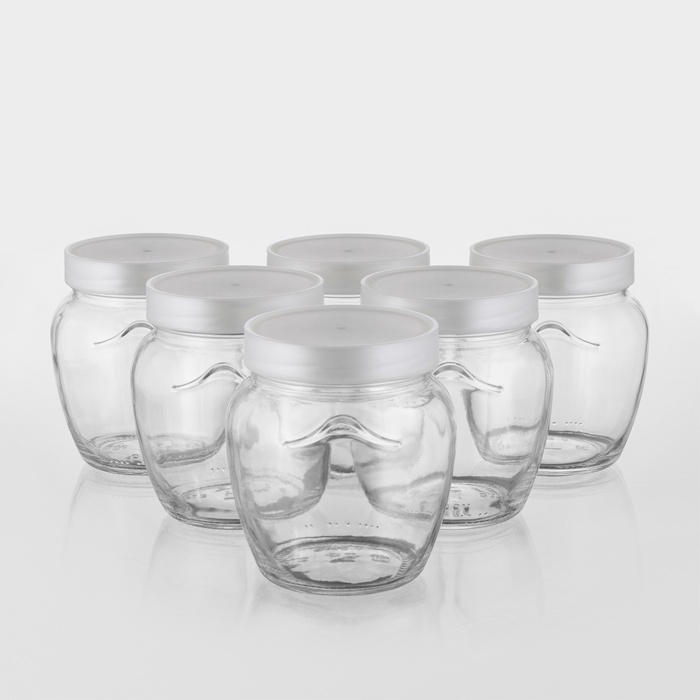 Набор стеклянных банок с серебристой полимерной крышкой, ТО-82 мм, 550 мл, 6 шт. Набор стеклянных банок с серебристой полимерной крышкой, ТО-82 мм, 550 мл, 6 шт.