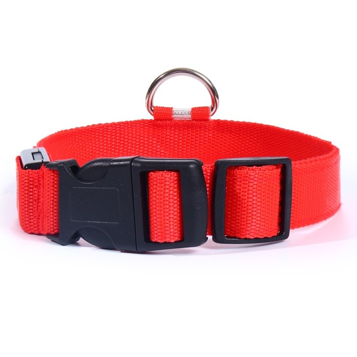 Ошейник с подсветкой размер М, ОШ 40-48 х 2,5 см, 3 режима свечения красный Ошейник с подсветкой размер М, ОШ 40-48 х 2,5 см, 3 режима свечения красный