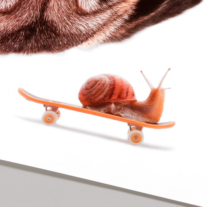 Наклейка 3Д интерьерная Собака 30*20см Наклейка 3Д интерьерная Собака 30*20см