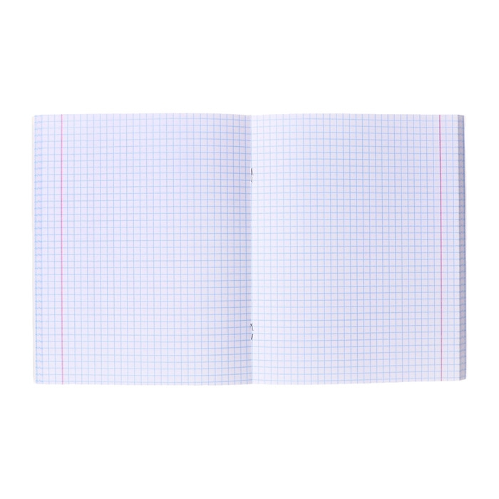 Тетрадь 48 листов в клетку Calligrata Тетрадь 48 листов в клетку Calligrata "Яркая. Аниме", картонная обложка, матовая ламинация + выборочный УФ-лак, блок офсет МИКС