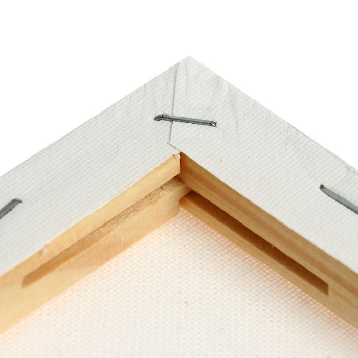 Холст на подрамнике, хлопок 100%, 50 х 60 х 1.8 см, акриловый грунт, мелкозернистый, 280 г/м² Холст на подрамнике, хлопок 100%, 50 х 60 х 1.8 см, акриловый грунт, мелкозернистый, 280 г/м²