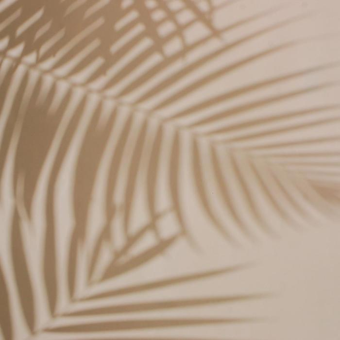 Фотофон двусторонний бумага 300 гр Фотофон двусторонний бумага 300 гр "Тень и листья" 57х87 см