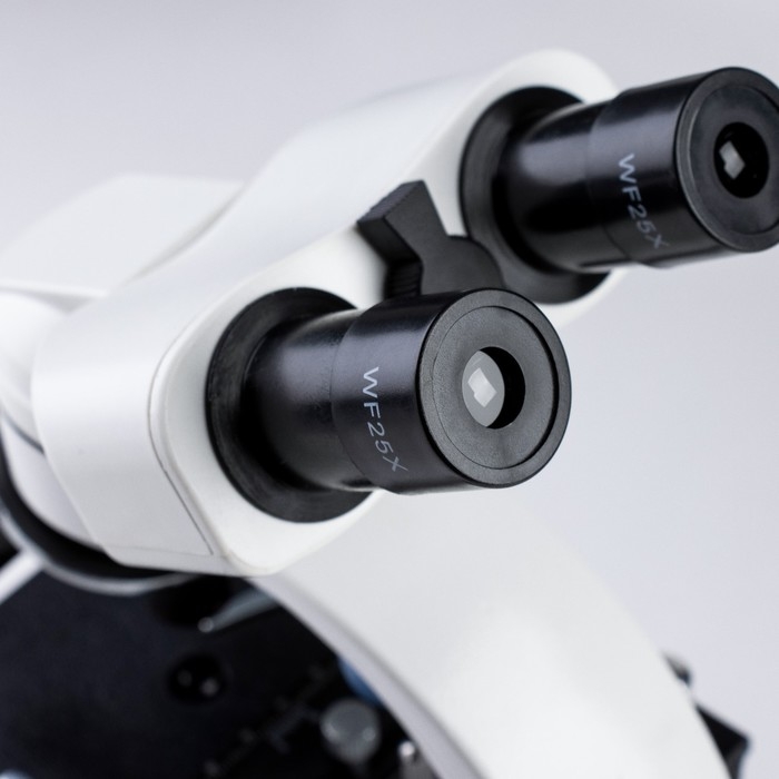 Микроскоп лабораторный кратность 40,100,400, подсветка Микроскоп лабораторный кратность 40,100,400, подсветка