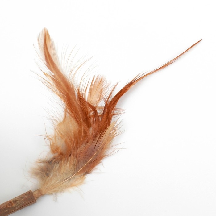 Игрушка-неваляшка для кошек  Игрушка-неваляшка для кошек "Юла" из прессованной кошачьей мяты и мататаби, 3,5 см