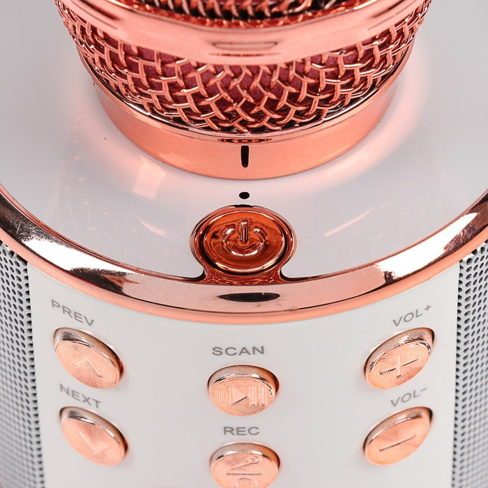 Микрофон для караоке Luazon LZZ-56, WS-858, 1800 мАч, розовый Микрофон для караоке Luazon LZZ-56, WS-858, 1800 мАч, розовый