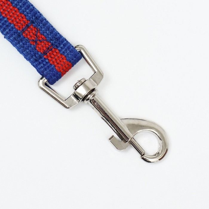Поводок 2 м х 2 см, сине-красный Поводок 2 м х 2 см, сине-красный