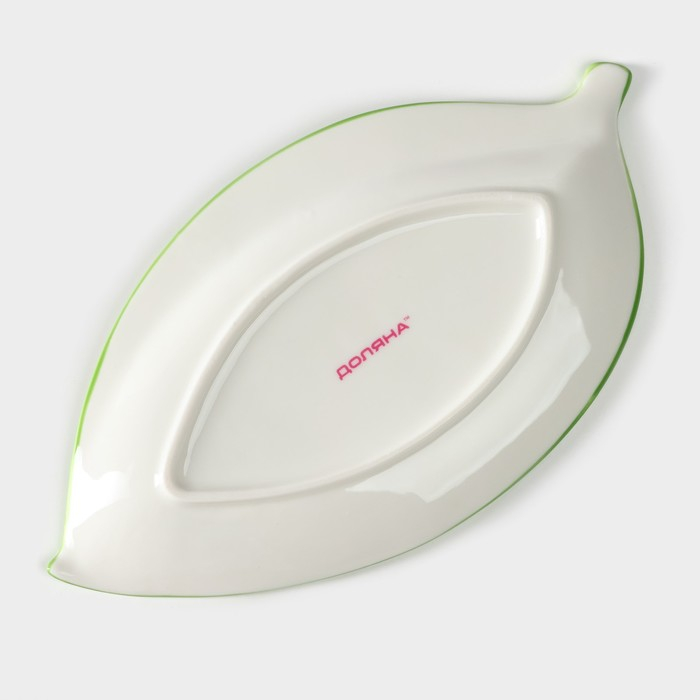 Блюдо фарфоровое Доляна «Зелёный сад», 22,5×12×1,7 см, цвет белый