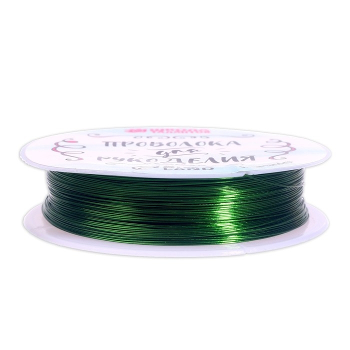 Проволока для бисероплетения D= 0,3 мм, длина 30 м, цвет зелёный Проволока для бисероплетения D= 0,3 мм, длина 30 м, цвет зелёный