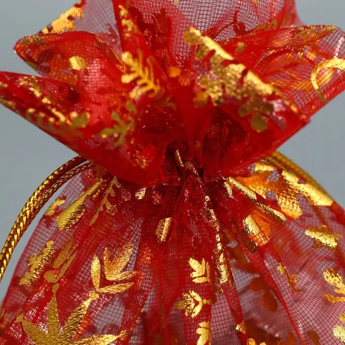 Мешочек подарочный органза «С Новым Годом!», 16 х 24 см +/- 1.5 см Мешочек подарочный органза «С Новым Годом!», 16 х 24 см +/- 1.5 см