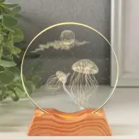 Сувенир стекло свет "Диск. Медузы" 5хLED d=10 см, USB 10х4х11,4 см Сувенир стекло свет "Диск. Медузы" 5хLED d=10 см, USB 10х4х11,4 см