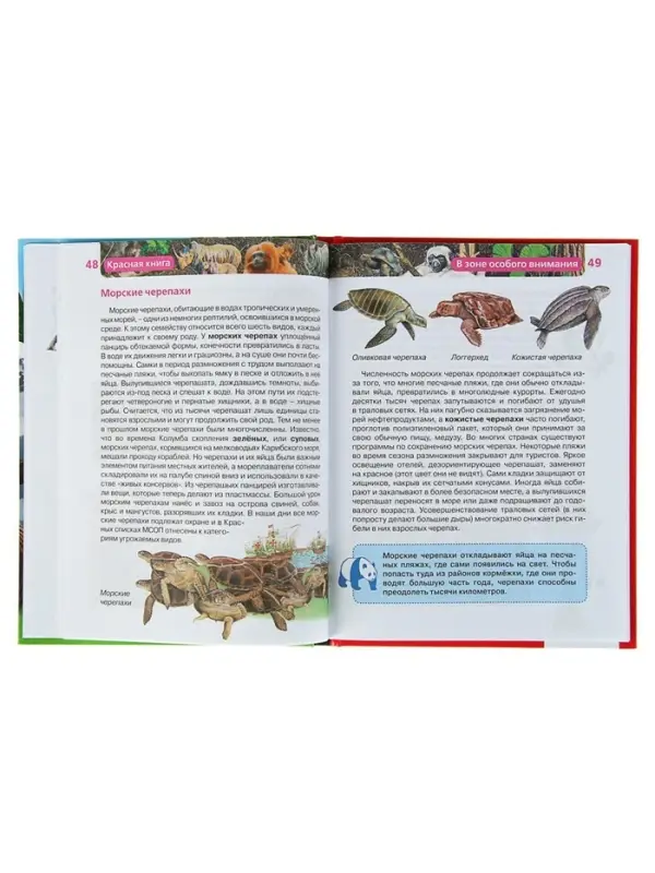 Детская энциклопедия &laquo;Красная книга&raquo;