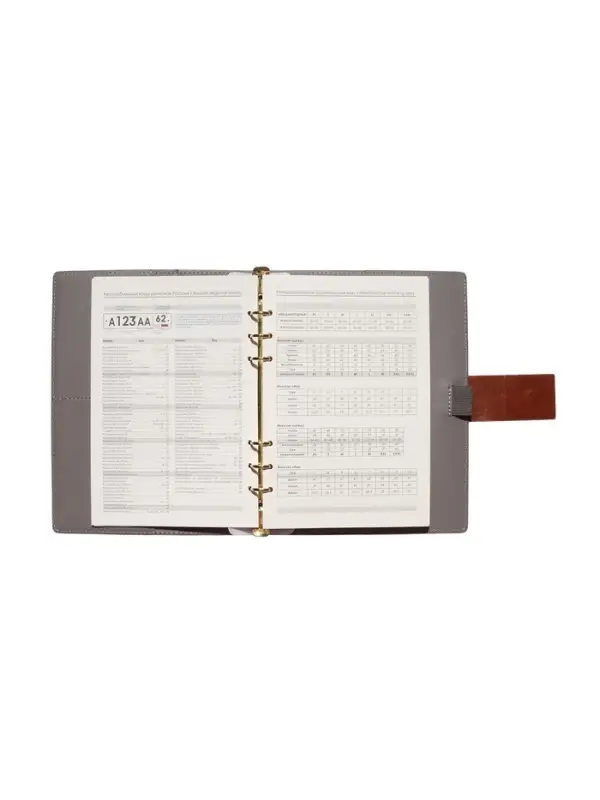 Органайзер на кольцах, А5, с хлястиком, 80л, линия, к/зам, Коричневый Органайзер на кольцах, А5, с хлястиком, 80л, линия, к/зам, Коричневый