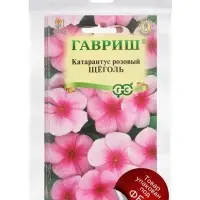 Набор семян комнатных Барвинок &laquo;Щеголь&raquo;, 5 шт.