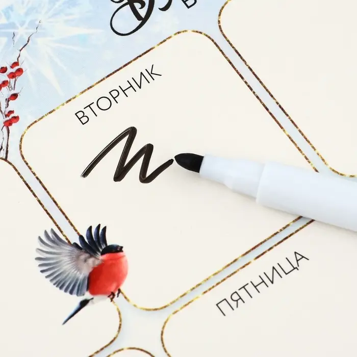 Планер магнитный, А5 и стирающийся маркер «Волшебство в Новом году! С Дедом Морозом» Планер магнитный, А5 и стирающийся маркер «Волшебство в Новом году! С Дедом Морозом»