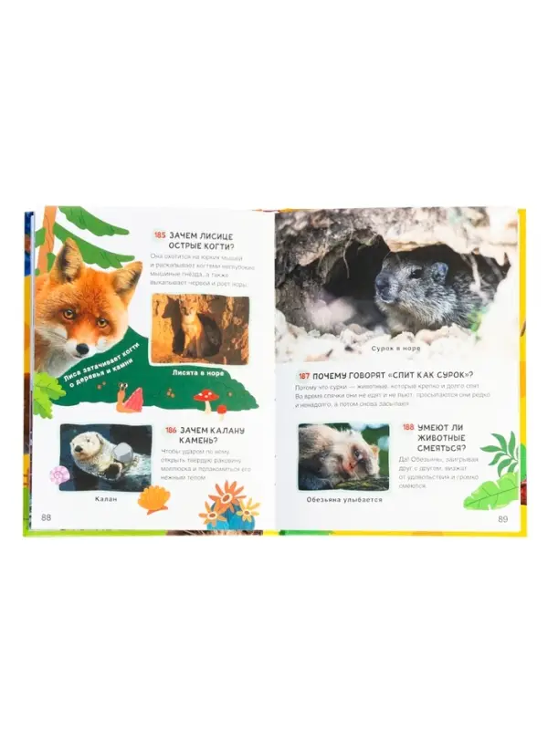 Большая энциклопедия малыша. 300 вопросов и ответов. 144 стр.