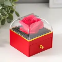 Шкатулка пластик "Роза в футляре" красная 6,8х6,8х7,5 см